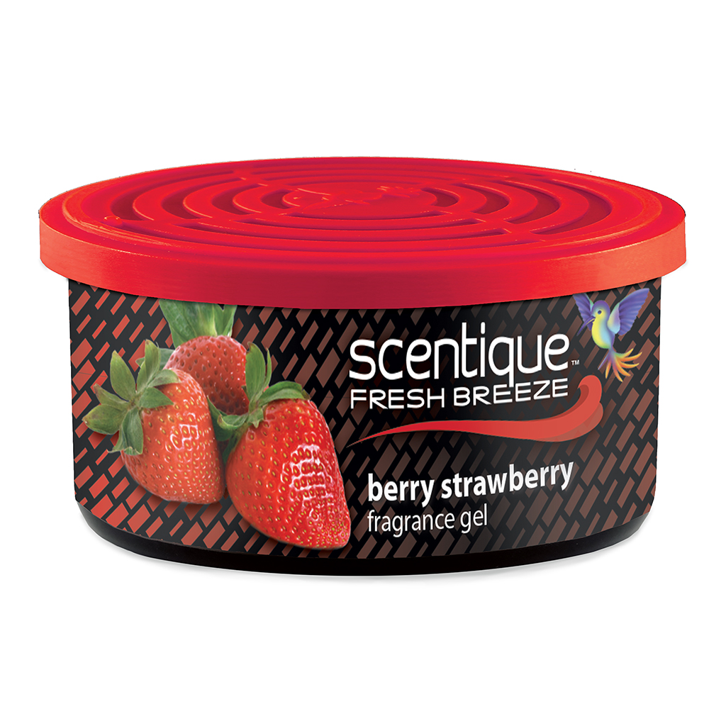 Scentique Natural Gel Can Air Freshener -Strawberry CASE PACK 12