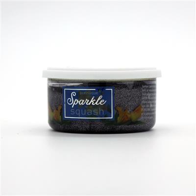 Scentique Sparkle Air Freshener -Squash CASE PACK 12