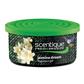 Scentique Natural Gel Can Air Freshener -Jasmine CASE PACK 12